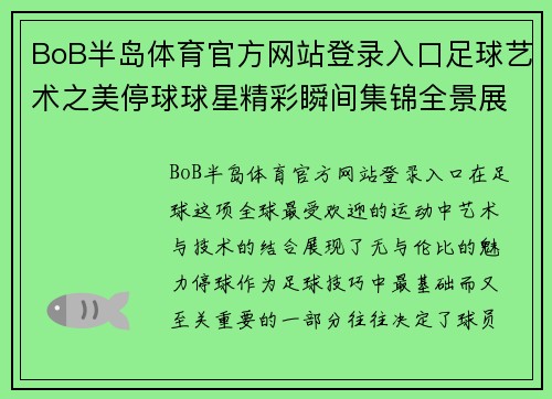 BoB半岛体育官方网站登录入口足球艺术之美停球球星精彩瞬间集锦全景展示 - 副本