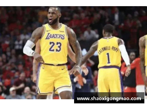 BoB半岛体育官方网站登录入口NBA巨星詹姆斯：统治篮球场上的无可争议之王 - 副本