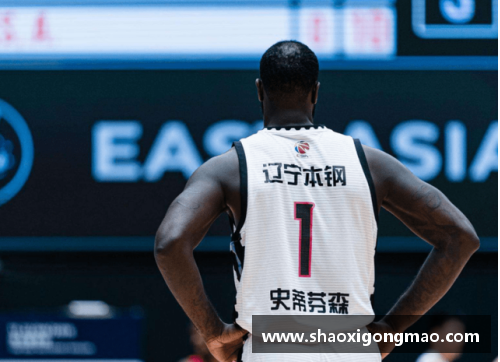 BoB半岛体育官方网站登录入口NBA霸主传奇：探寻史蒂芬森的不朽篇章 - 副本