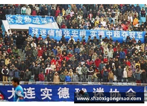 BoB半岛体育官方网站登录入口深圳官方发布重磅转会消息，球迷哗然 - 副本