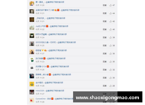 BoB半岛体育官方网站登录入口猛龙队战绩不佳，球队调整阵容的背后原因与未来展望 - 副本