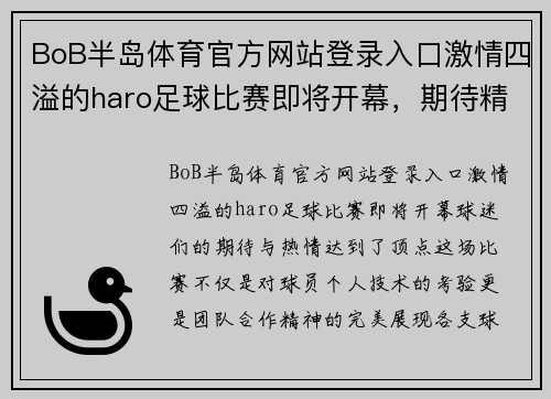 BoB半岛体育官方网站登录入口激情四溢的haro足球比赛即将开幕，期待精彩对决与团队合作的完美展现
